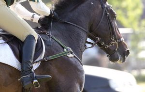 How to buy an eventer