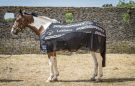 LeMieux Carbon Cooler rug review