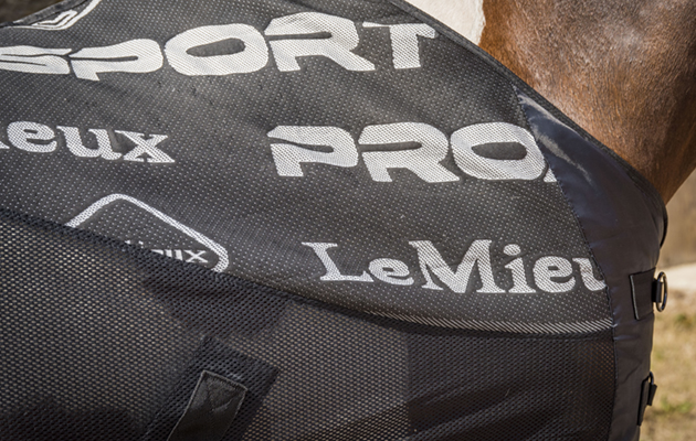 LeMieux Carbon Cooler rug review