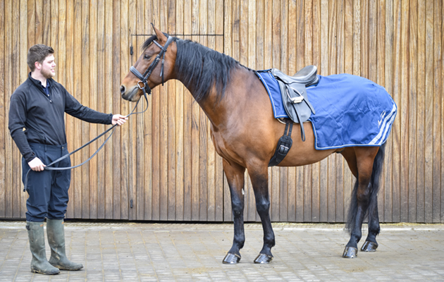 Mark Todd waterproof exercise sheet review