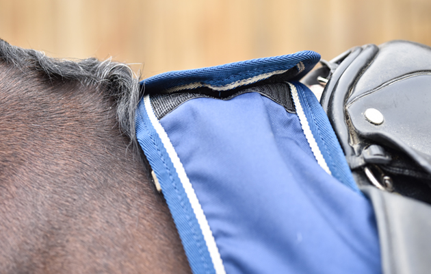 Mark Todd waterproof exercise sheet review