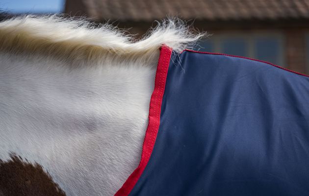 Masta Coolmasta review