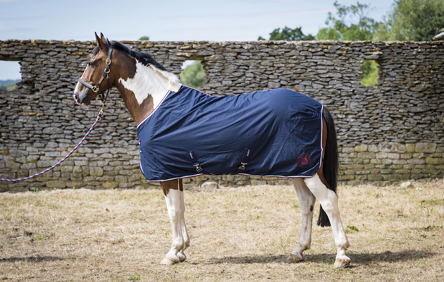 Premier Equine Stratus Stable Sheet review