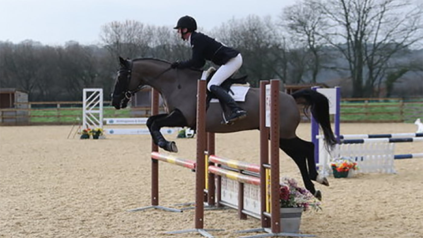 Horses for sale in the south west