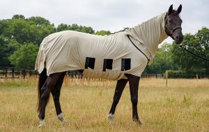 Snuggy Hoods Bug Body Fly Rug review