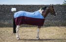 Thermatex Duet Cooler Rug review