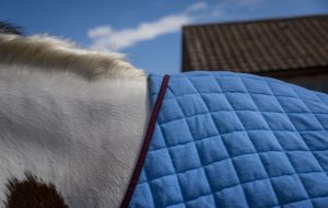 Thermatex Duet Cooler Rug review