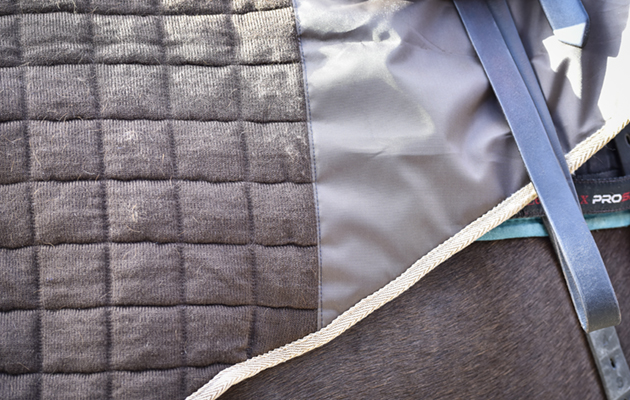 Thermatex trainer rug review