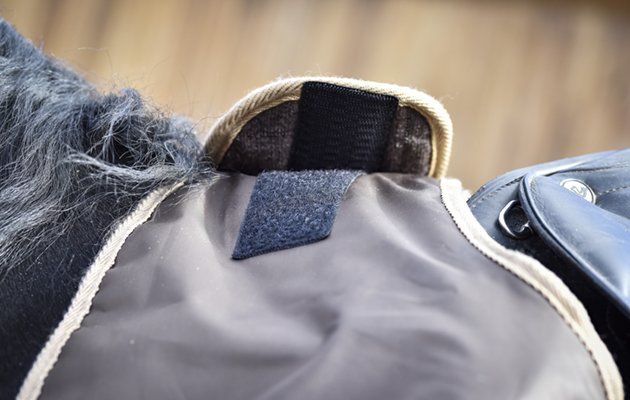 Thermatex trainer rug review