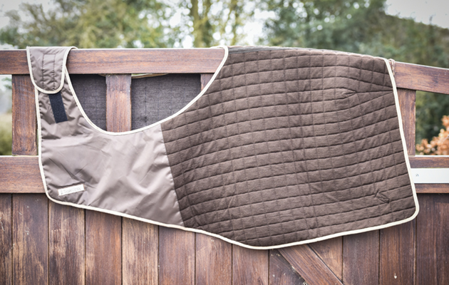 Thermatex trainer rug review