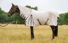 Thermomaster Fly Rug Full Neck Protect II review