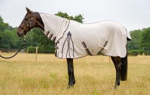 Thermomaster Fly Rug Full Neck Protect II review