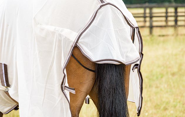 Thermomaster Fly Rug Full Neck Protect II review