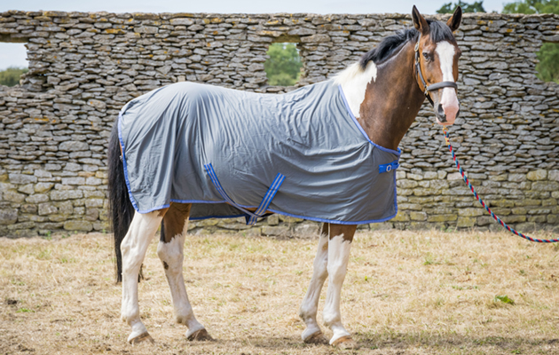 Weatherbeeta Ezi-Dri Standard Neck review