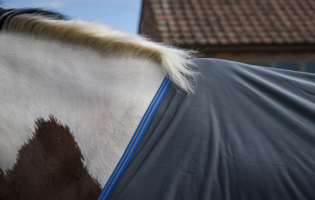 Weatherbeeta Ezi-Dri Standard Neck review