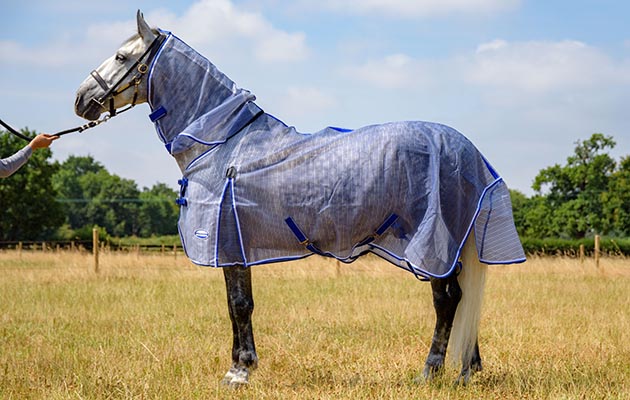 WeatherBeeta ComFiTec Ripshield Plus fly rug review