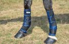 Best cool boots for horses: Aerochill Cooling Boots review