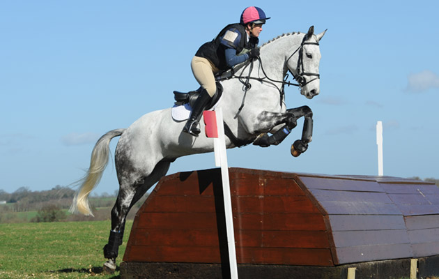 Patricia Pytches  riding CES BALLYCAR CHIP in Intermediate Section B at Great Witchingham International (1) in Norfolk on the 21st March 2014