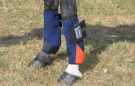 Best cool boots for horses: Eskadron Pro-Cool Boot Set review