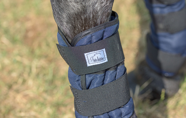 Felix Buhler Cold Water Boots review