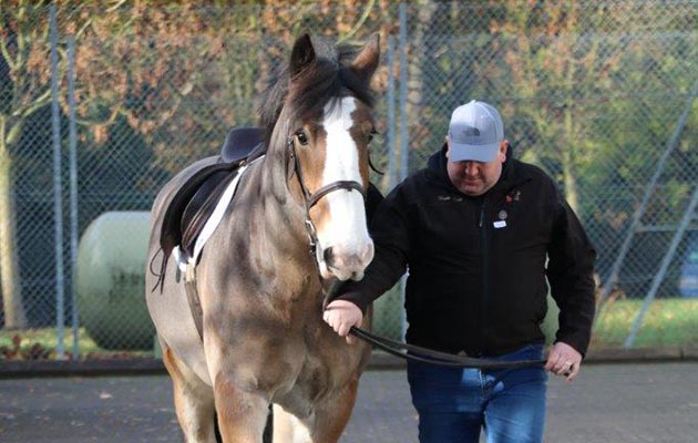 Hovis enjoys a leg stretch with his dad