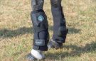 Best cool boots for horses: LeMieux ProIce Boots review