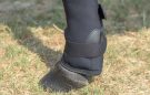 LeMieux ProIce Boots review