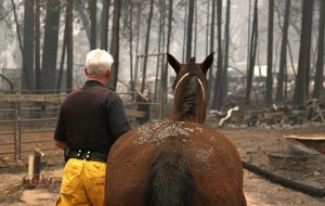 california wild fire