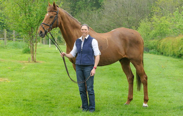 Over To You (Jack) photographed at Jeanette Brakewell's yard for Horse&Hound, May 2013.