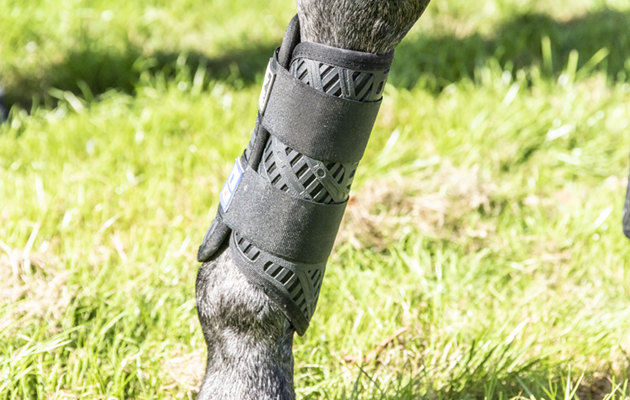 Majyk Equipe Color Elite X Country Boots review