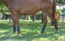 Premier Equine Original Air-Cooled Eventing Boots review