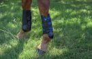 Premier Equine Original Air-Cooled Eventing Boots review