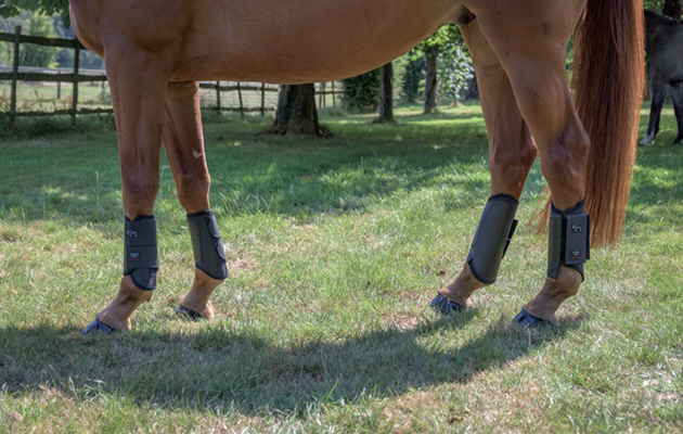 Michael Jung Event Boots review