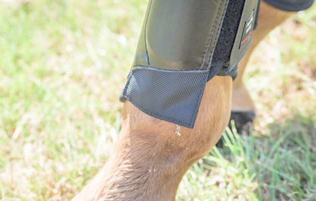 Michael Jung Event Boots review