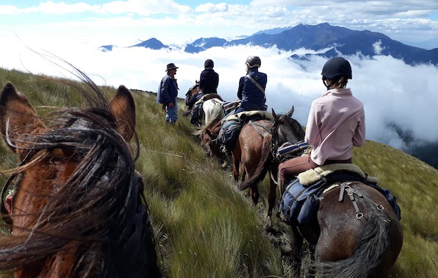 Ecuador riding holiday