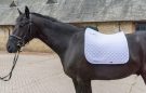 Albion England Diamond Dressage Square review