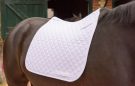 Albion England Diamond Dressage Square review