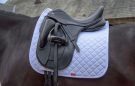 Albion England Diamond Dressage Square review