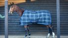 Bucas Celtic Stable Rug review
