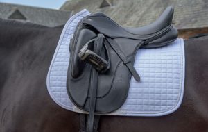 Bucas Max saddle pad review