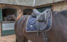 Equestrian Stockholm Royal Classic Dressage Pad review