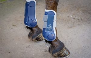 Felix Bühler Breathable Protection Tendon Boots review