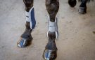 Felix Bühler Breathable Protection Tendon Boots review