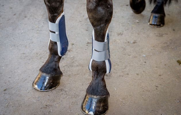 Felix Bühler Breathable Protection Tendon Boots review