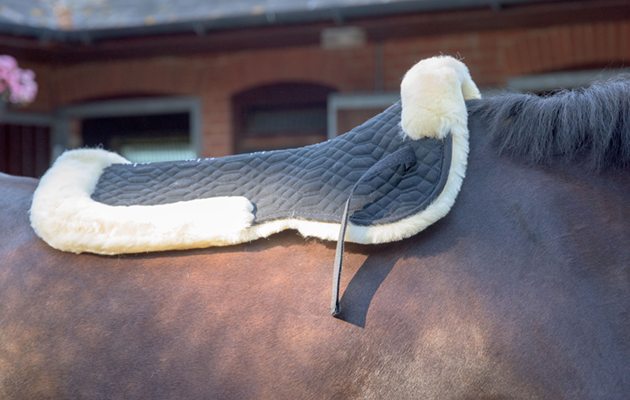 Felix Bühler Sheepskin Sydney Saddle Pad review