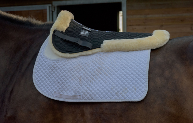 Felix Bühler Sheepskin Sydney Saddle Pad review