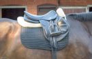 How to clean horse's saddle pad