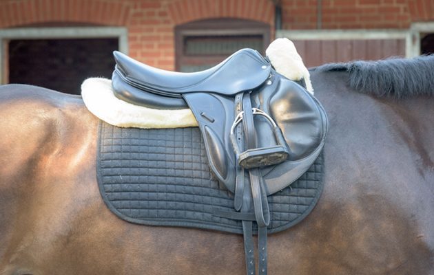 How to clean horse's saddle pad