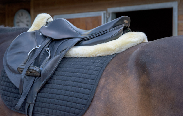 How to clean a saddle Felix Bühler Sheepskin Sydney Saddle Pad review