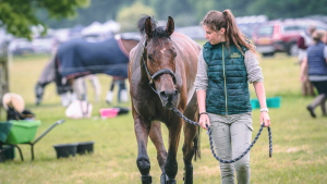 A groom leading a horse at an event